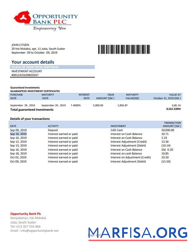 Realistic South Sudan Opportunity bank statement word template